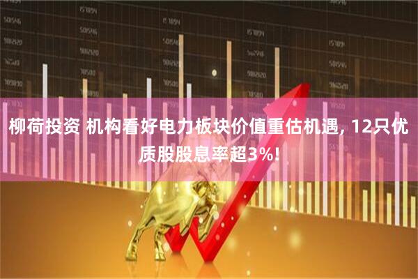 柳荷投资 机构看好电力板块价值重估机遇, 12只优质股股息率超3%!